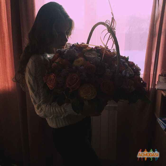 Нина Евгеньевна Журавлёва фото №1122559. Загружено 11 Декабря 2016