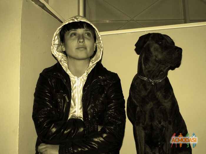 Евгения  Эдуардовна фото №290143. Загружено 14 Ноября 2012