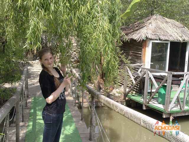 Анастасия  (Черно-Снежная) фото №408594. Загружено 14 Мая 2013