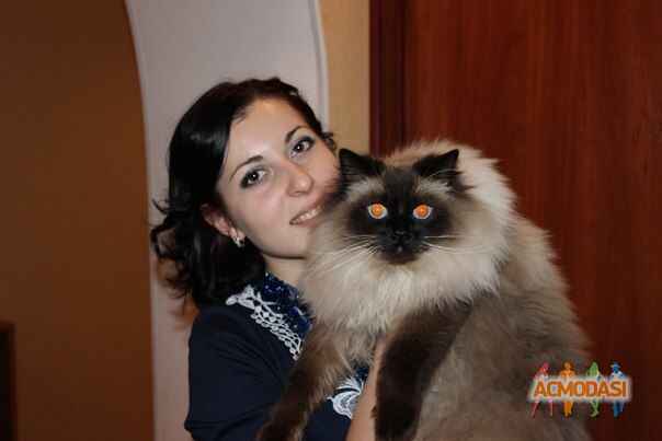 Екатерина Андреевна Королёва фото №623263. Загружено 27 Марта 2014