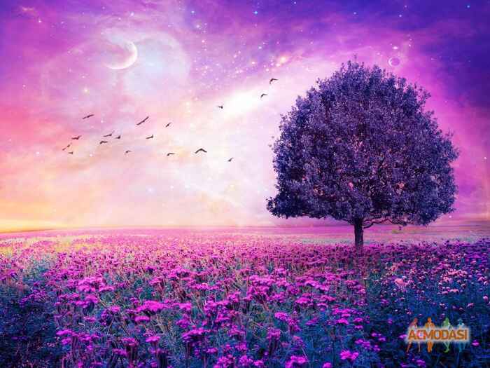 Стелла   фото №1526751. Загружено 16 Октября 2019