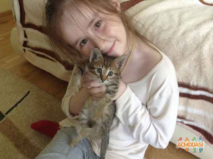 Ясмин   фото №687219. Загружено 09 Июля 2014