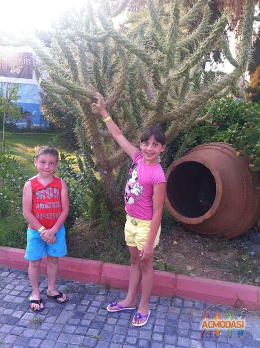 Юлия   фото №881747. Загружено 03 Июля 2015