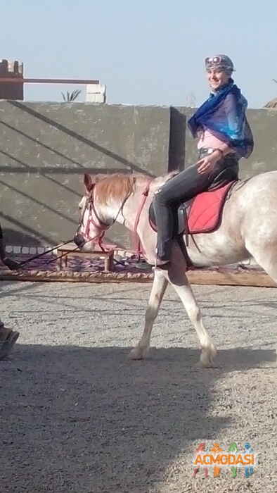 Оксана Васильевна Шапортина фото №852300. Загружено 21 Апреля 2015