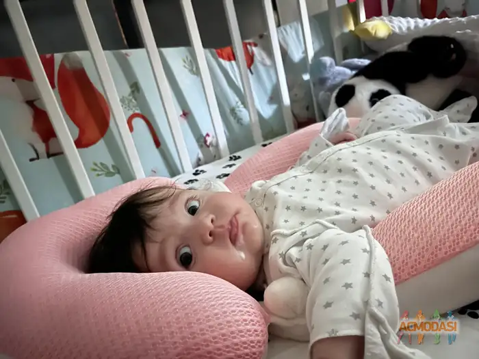 Валерия  Набатчикова фото №1937480. Загружено 28 Сентября 2025