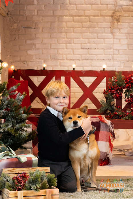 Король  Павел фото №1854678. Загружено 15 Мая 2023