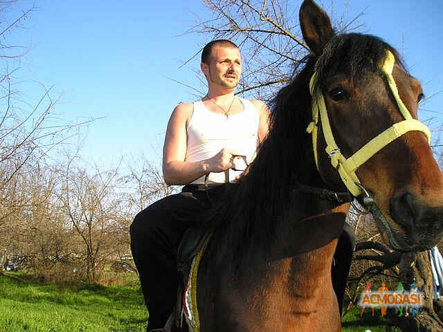 Виталий  Иванович фото №260809. Загружено 26 Сентября 2012