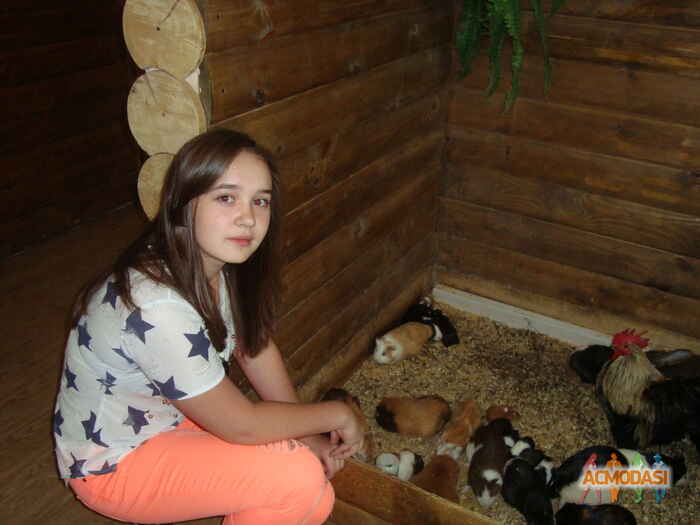 Аня  Матыцына фото №883106. Загружено 07 Июля 2015