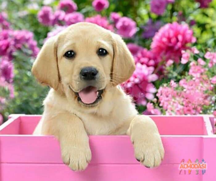 Crceef  Freefer фото №1859887. Загружено 05 Июля 2023