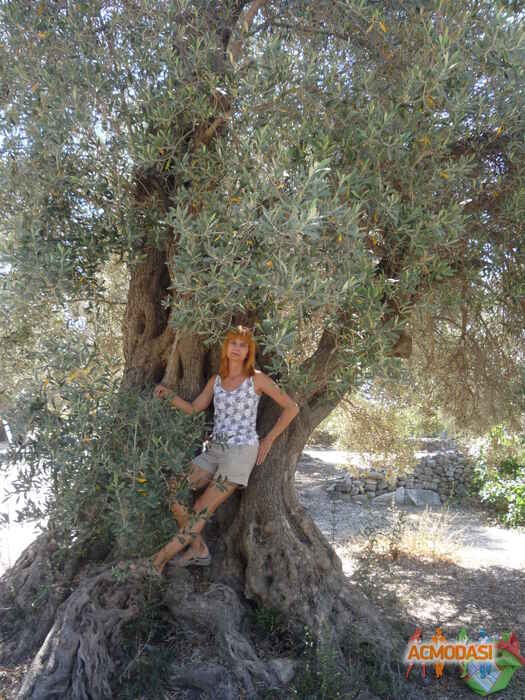 Tatiana  Shender фото №461939. Загружено 02 Августа 2013