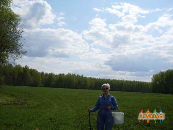 Татьяна Алексеевна Казарцева фото №777574. Загружено 20 Ноября 2014