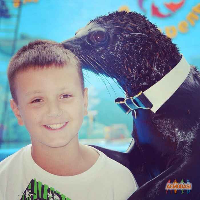 Александр  Алексеевич фото №777237. Загружено 19 Ноября 2014