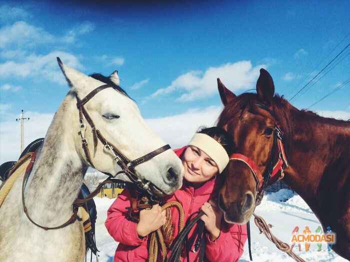 Алена Игоревна Довбеус фото №1122909. Загружено 12 Декабря 2016