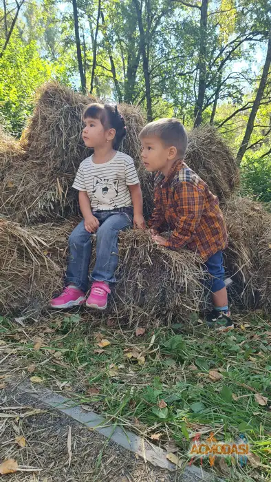 Егор  Михальцов фото №1935929. Загружено 10 Сентября 2025