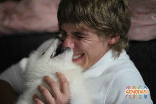 Евгений Владиславович Гурский фото №550634. Загружено 11 Декабря 2013