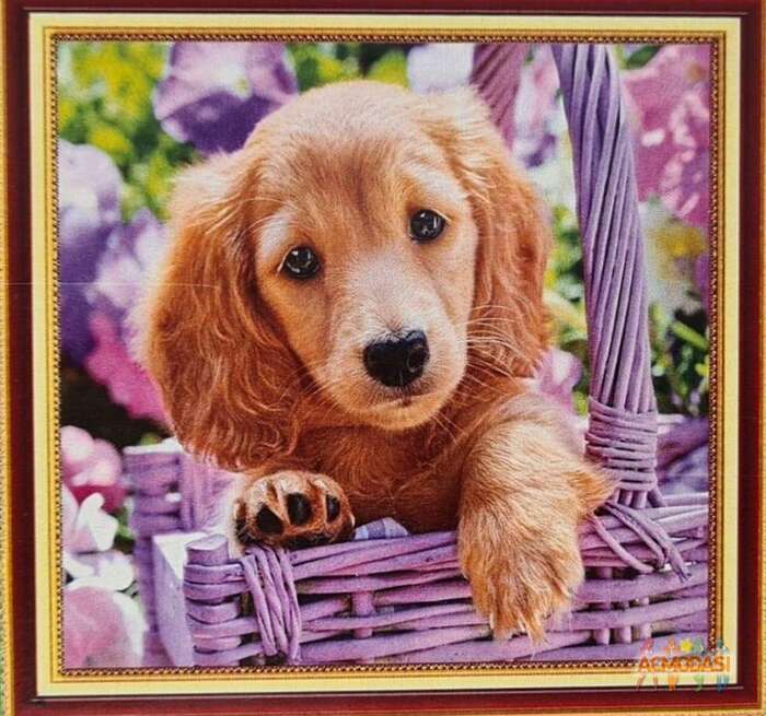 Crceef  Freefer фото №1859889. Загружено 05 Июля 2023