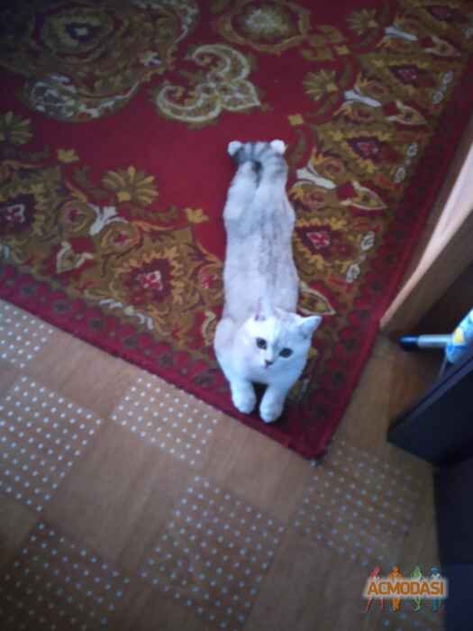 Ирина  Корнеева фото №1700560. Загружено 19 Апреля 2021