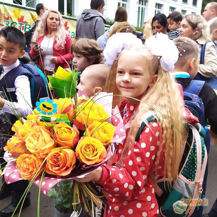 Алиса   фото №1771648. Загружено 18 Января 2022