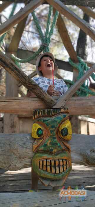 Инеса   фото №1642504. Загружено 30 Сентября 2020