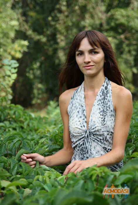 Лилия   фото №823417. Загружено 16 Февраля 2015