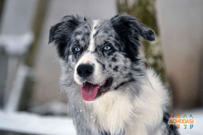 Марина Николаевна Шикалова фото №1127013. Загружено 23 Декабря 2016