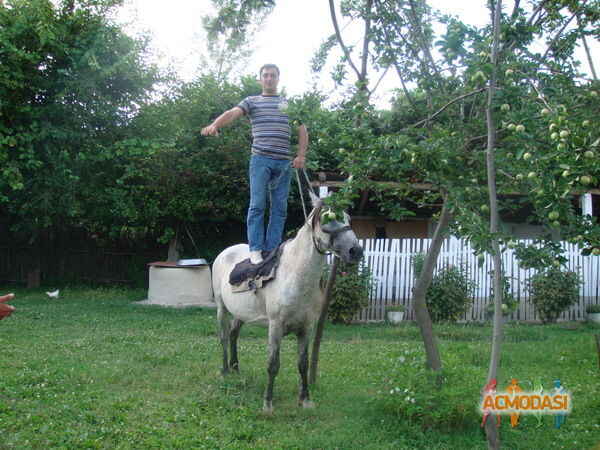 Васиф Вагиф-Оглы Новрузов фото №489722. Загружено 11 Сентября 2013