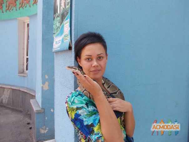 Ирина Витальевна Овчаренко фото №744643. Загружено 02 Октября 2014