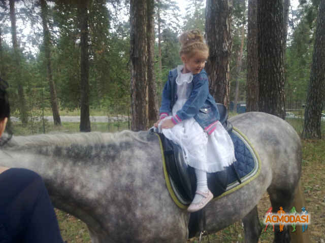 зинаида алексеевна Поликарпова фото №451326. Загружено 19 Июля 2013