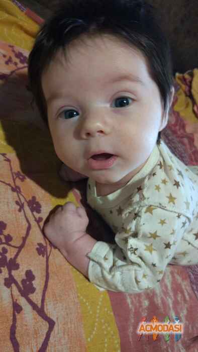 Лев  Подкопаев фото №1571204. Загружено 14 Февраля 2020