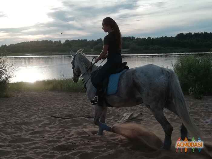 Ирина  Рожина фото №1416892. Загружено 26 Января 2019