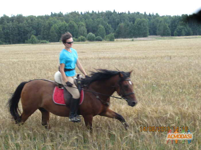 Наталья  Викторовна фото №572175. Загружено 15 Января 2014