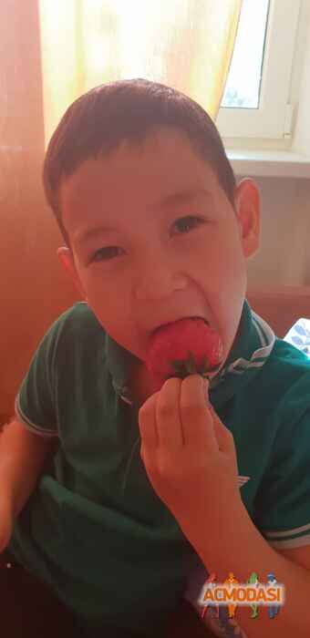 Рафаэль Рамилевич Уразалиев фото №1454815. Загружено 07 Мая 2019