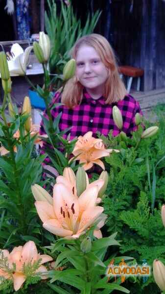 Алина Андреевна Тарасевич фото №1496225. Загружено 06 Августа 2019