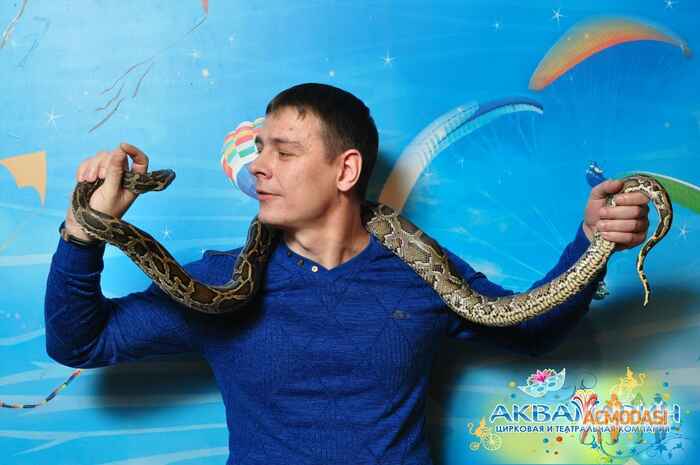 Виталий Алексадрович Марков фото №826806. Загружено 25 Февраля 2015