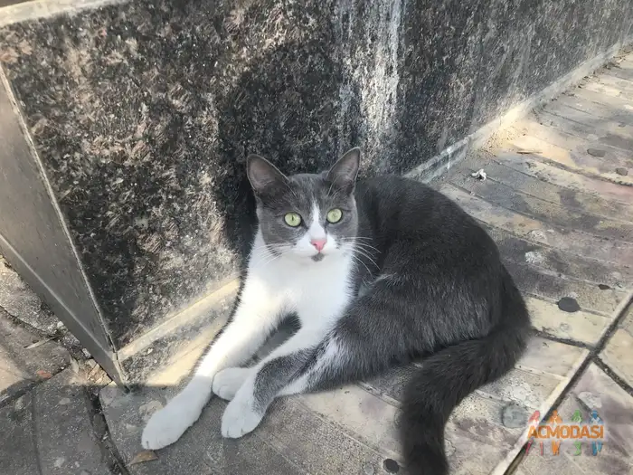 Бетельгейзе   фото №1938566. Загружено 13 Октября 2025