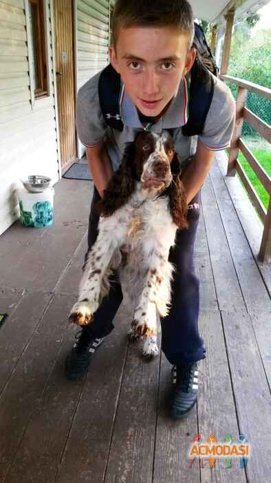 Глеб Андреевич Лосев фото №574158. Загружено 17 Января 2014