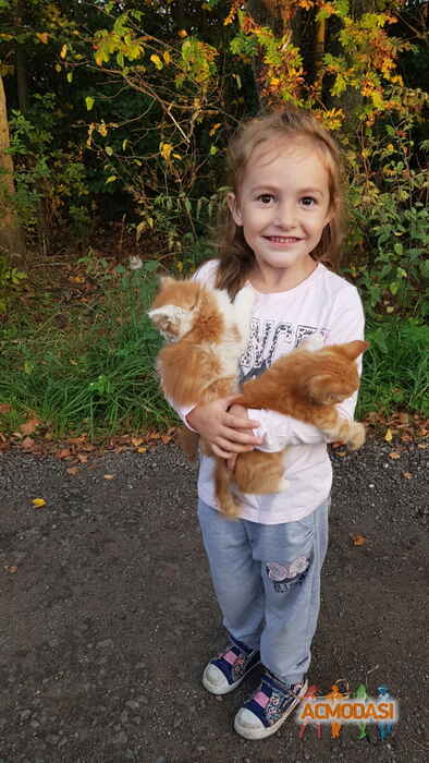 Ольга Антоновна Туманова фото №1440367. Загружено 29 Марта 2019