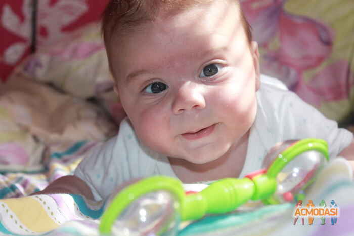 Давид  Липовецкий фото №700838. Загружено 31 Июля 2014