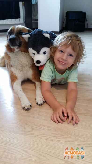 Евсей  Шевяков фото №1490852. Загружено 25 Июля 2019