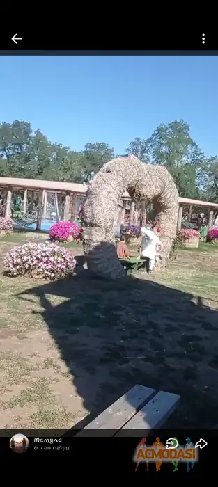 Ксения  Беховая фото №1943516. Загружено 11 Декабря 2025