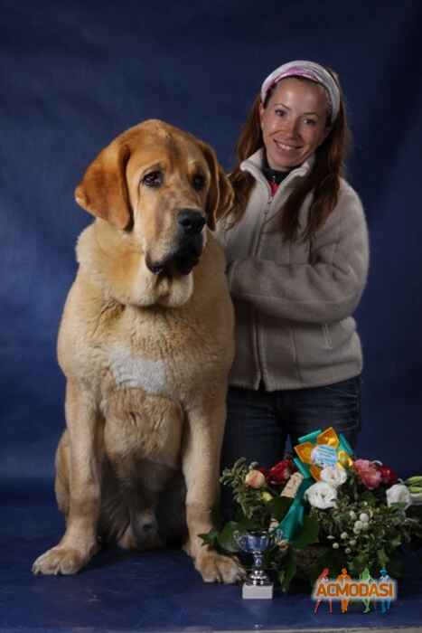 Мария   фото №194781. Загружено 07 Мая 2012