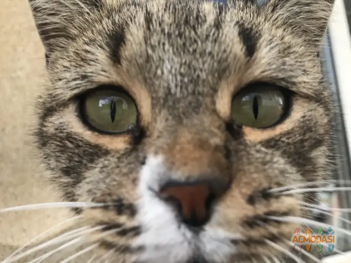 Каренвейзэ   фото №1938574. Загружено 13 Октября 2025