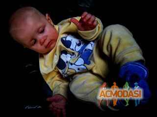 Алиса   фото №398724. Загружено 02 Мая 2013