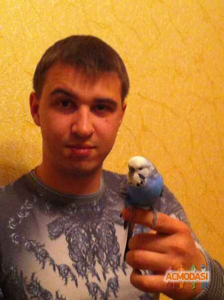 Владислав Владиславович Титомир фото №751121. Загружено 12 Октября 2014