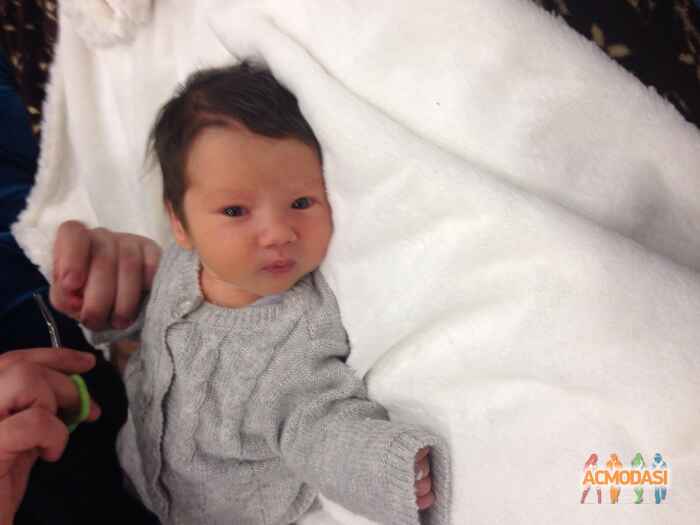 Давид Георгиевич Тиникашвили фото №612762. Загружено 12 Марта 2014