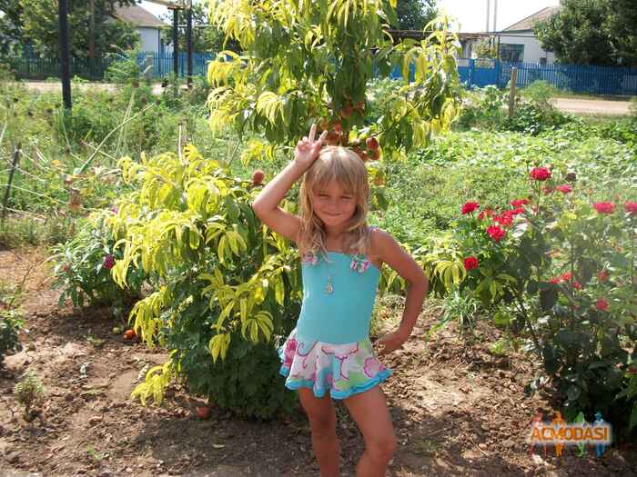 Евгения  Потапенко фото №98525. Загружено 03 Ноября 2011