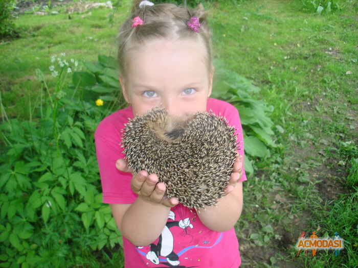 Виктория   фото №286114. Загружено 08 Ноября 2012