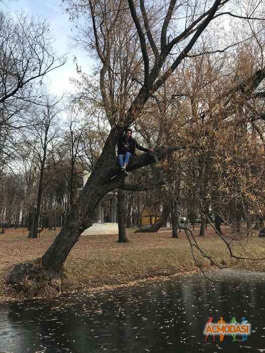 Григорий Николаевич Цуриков фото №1452815. Загружено 30 Апреля 2019