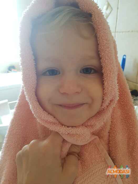 Лев   фото №1487284. Загружено 18 Июля 2019