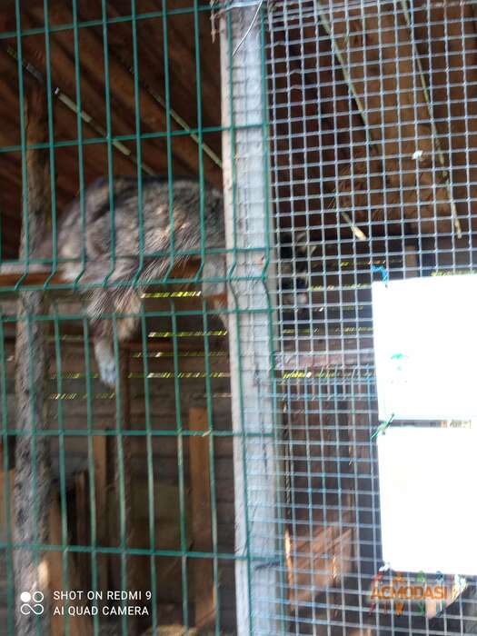 Екатерина  Куклина фото №1858417. Загружено 21 Июня 2023